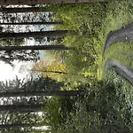 Kiwi Apartament *