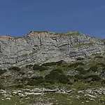 Kiwi * Bludenz
