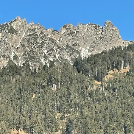 Kiwi Bludenz