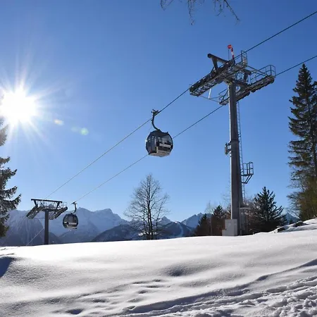Kiwi * Bludenz