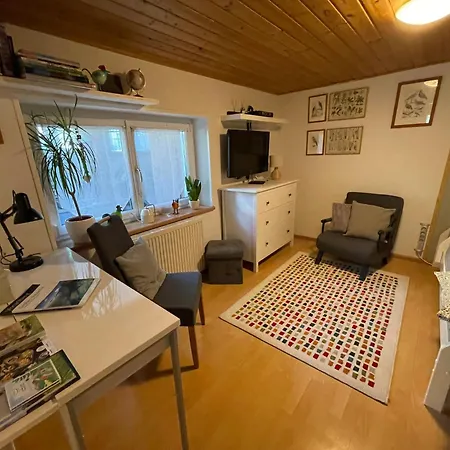Kiwi Apartamento