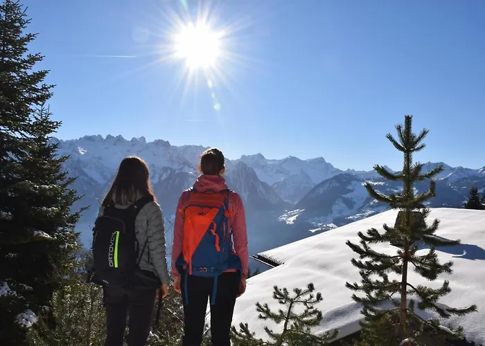 Apartment Kiwi Bludenz